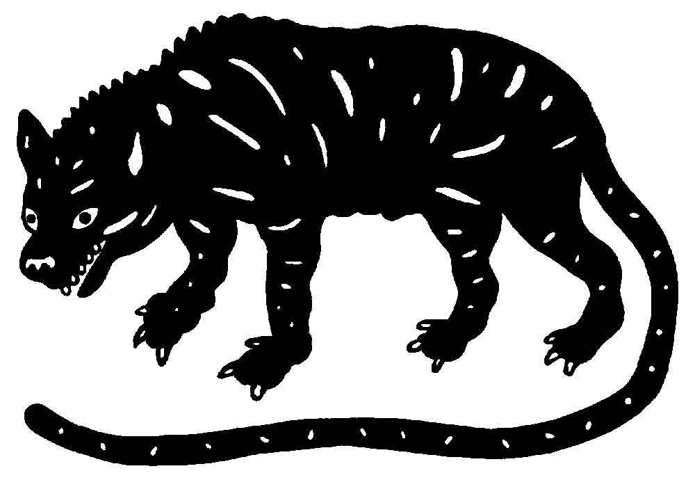 The Radavist